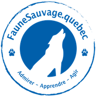 logo fauneSauvage