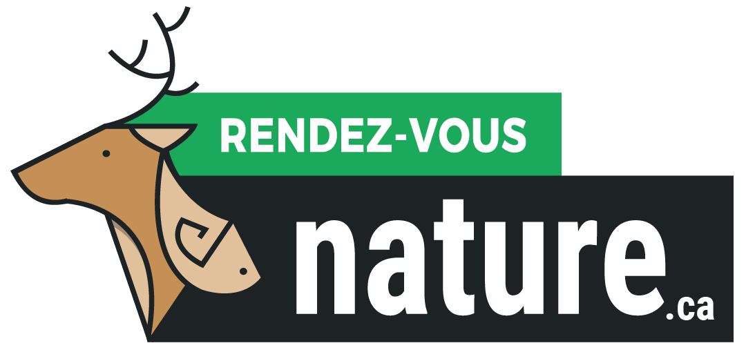 logo_rdv_png_.ca